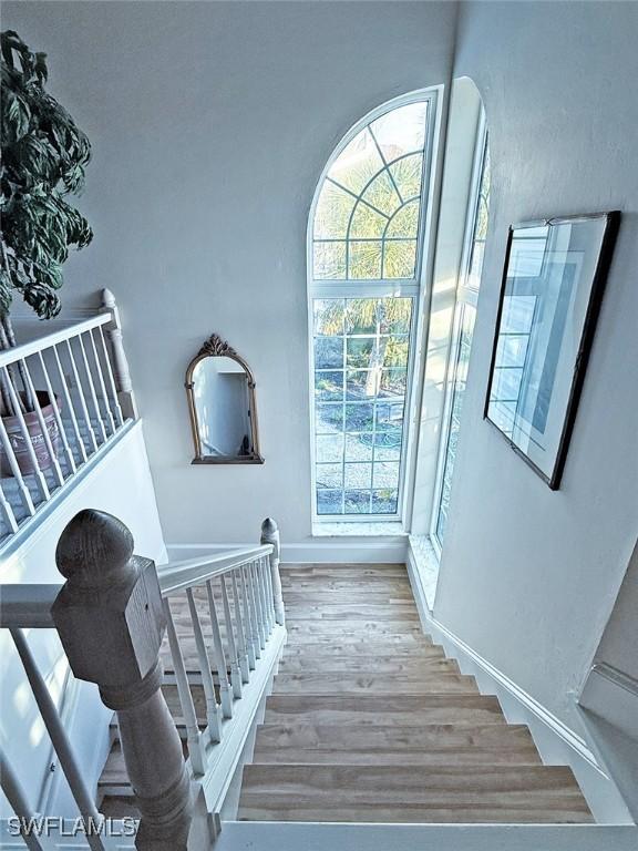 stairs featuring hardwood / wood-style floors