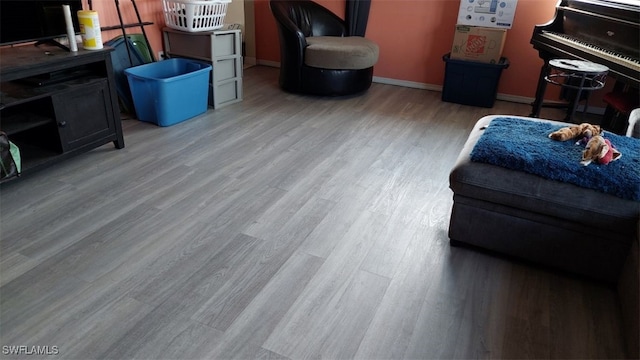 living room featuring light wood-type flooring