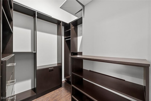 walk in closet with dark hardwood / wood-style floors