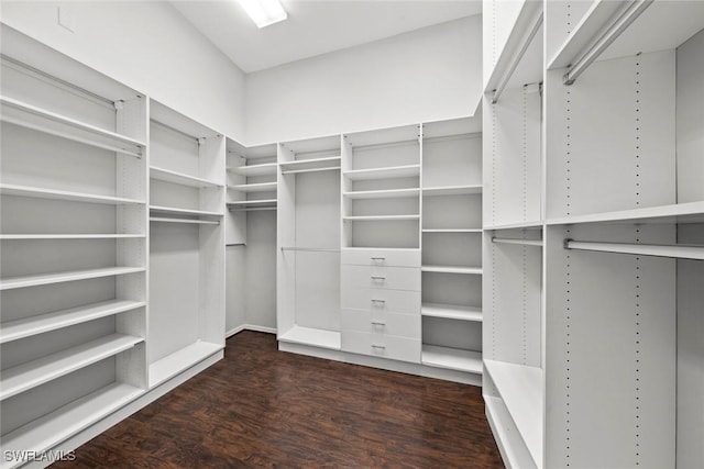 walk in closet featuring dark wood-type flooring