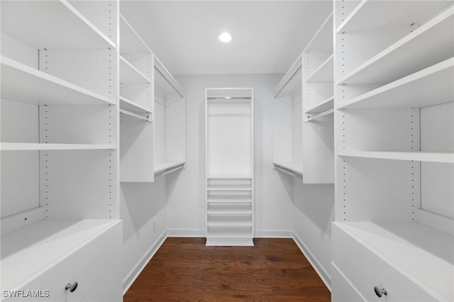 spacious closet featuring dark hardwood / wood-style floors