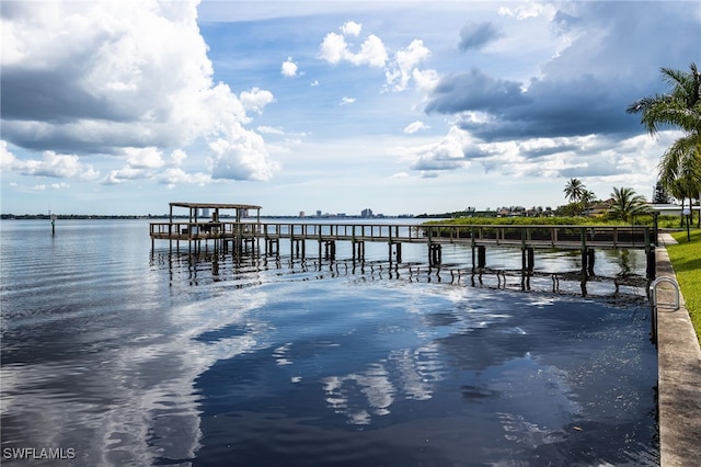 dock area with a water view