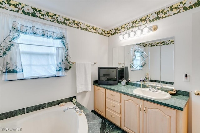 bathroom featuring vanity and a bathtub