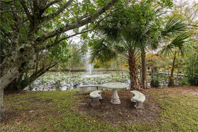 view of yard with a water view