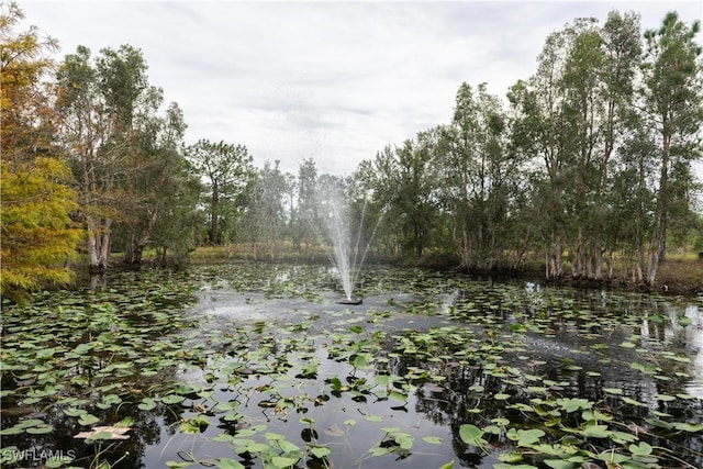 view of local wilderness with a water view