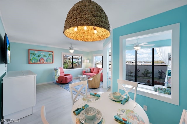 dining area featuring ceiling fan and light wood-type flooring