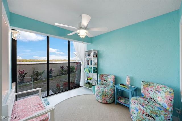 living area with ceiling fan