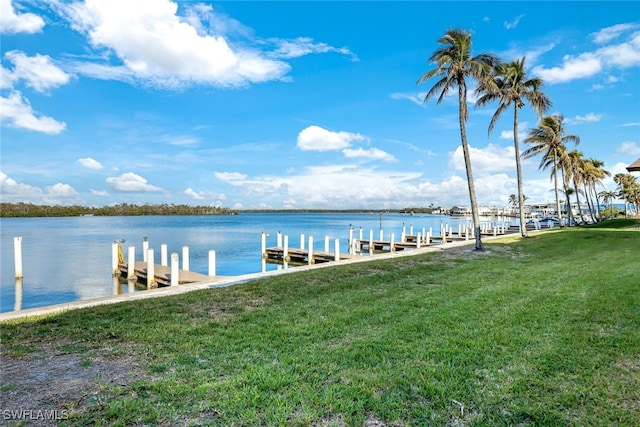 dock area with a yard and a water view