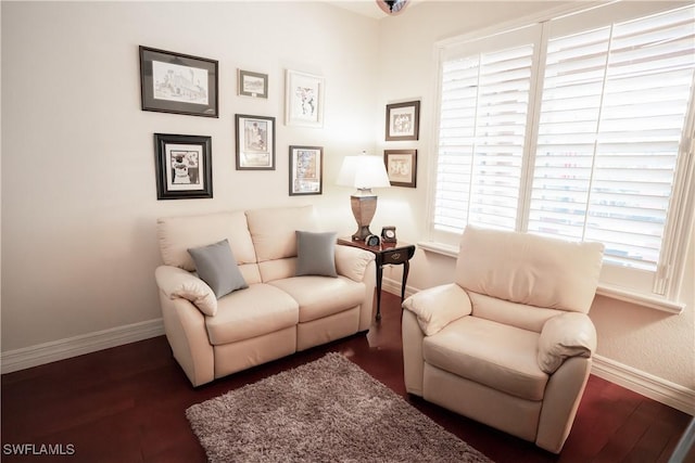 living area with dark hardwood / wood-style floors