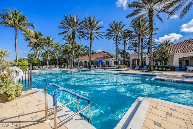 view of swimming pool with a patio area