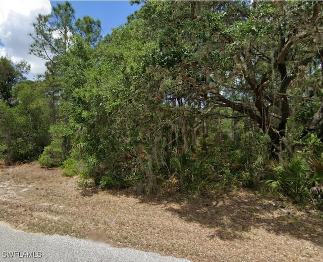 3129 Larissa St, Port Charlotte FL, 33948 land for sale