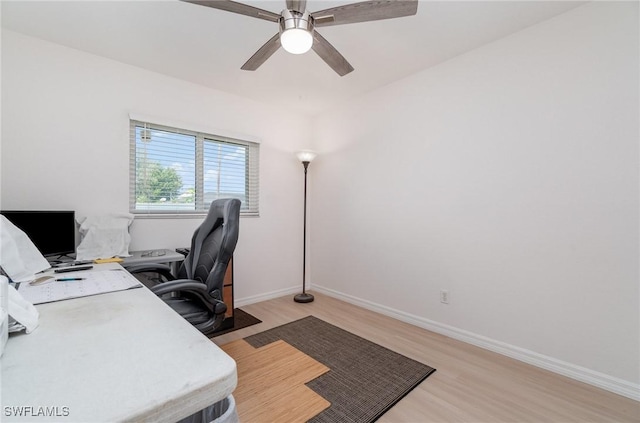 office area featuring light hardwood / wood-style flooring and ceiling fan