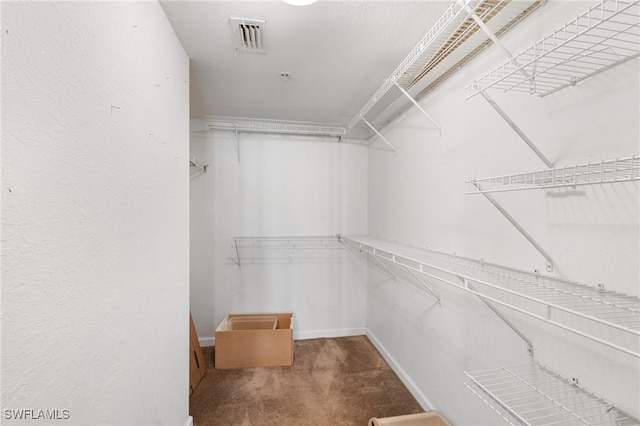 spacious closet with carpet