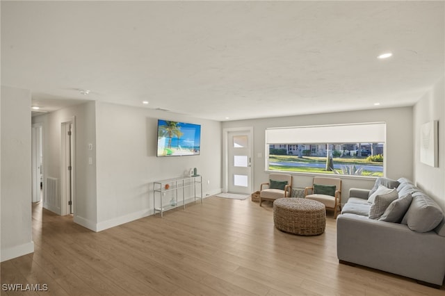 living room featuring light hardwood / wood-style flooring