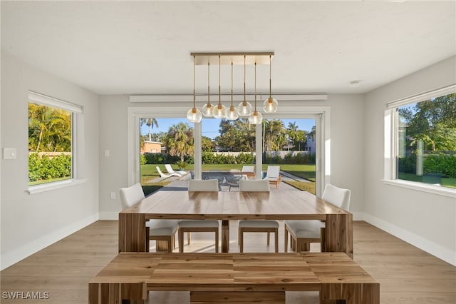 dining space featuring a wealth of natural light and light wood-type flooring