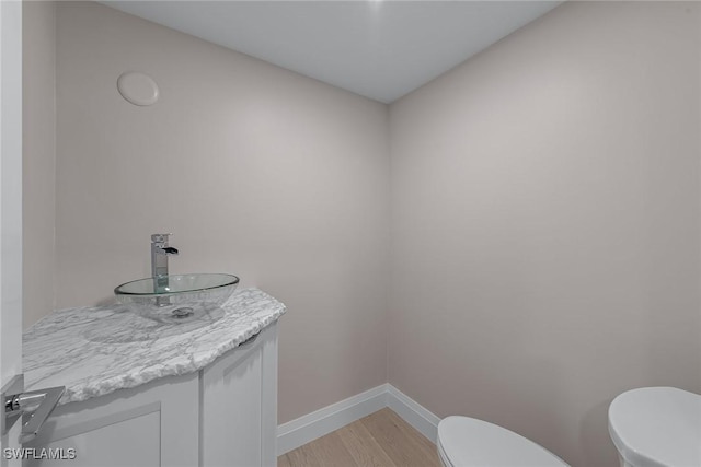 bathroom featuring vanity, wood-type flooring, and toilet