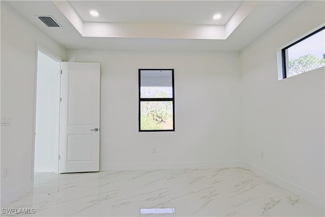 unfurnished room with a healthy amount of sunlight and a raised ceiling