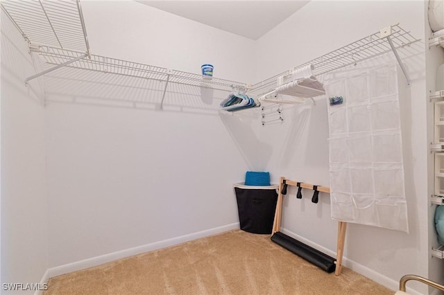 spacious closet with carpet