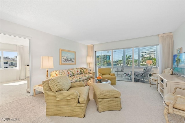 view of carpeted living room