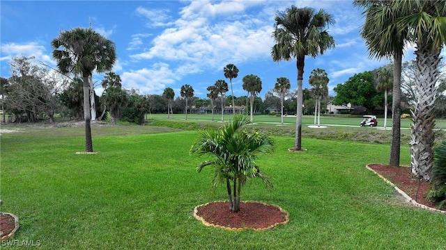 surrounding community featuring a yard