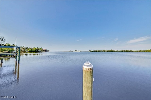 property view of water with a dock