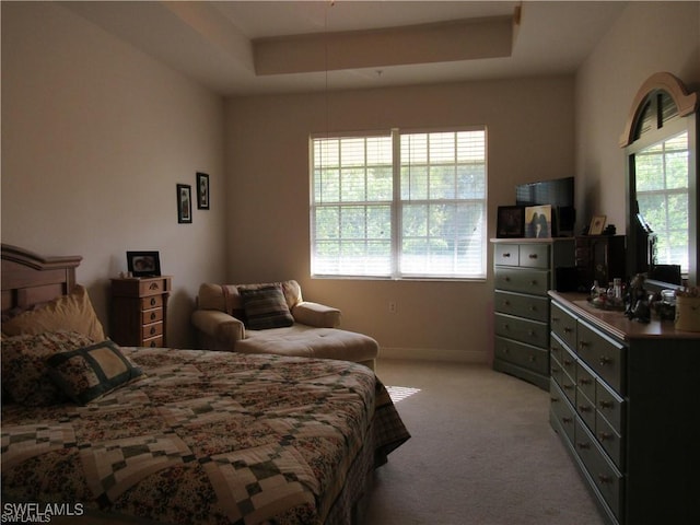 carpeted bedroom with a tray ceiling