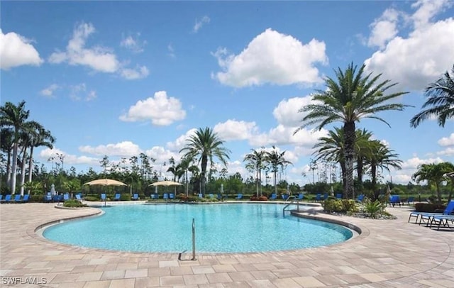 view of pool featuring a patio