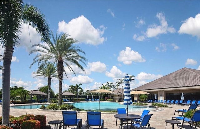 view of swimming pool with a patio