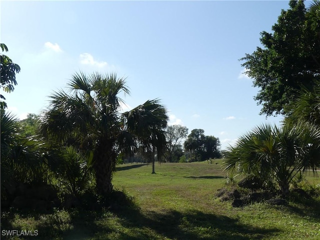 view of landscape featuring a rural view