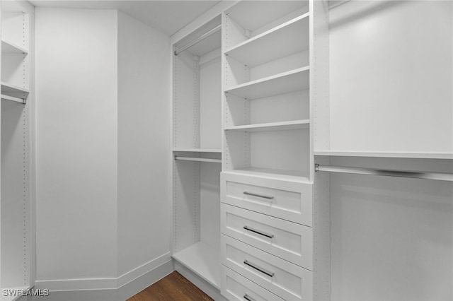 walk in closet with dark wood-type flooring