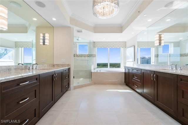 bathroom with crown molding, a stall shower, a raised ceiling, and a sink