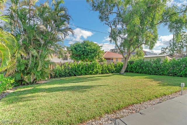 779 108th Ave N, Naples, FL 34108 - view of yard