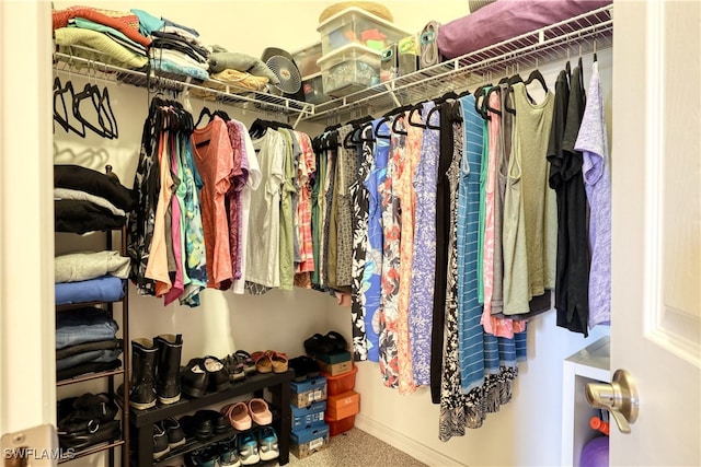 view of spacious closet