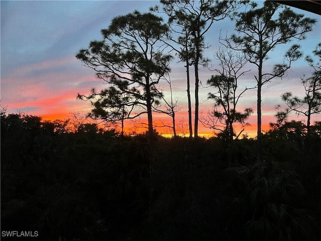 view of nature at dusk