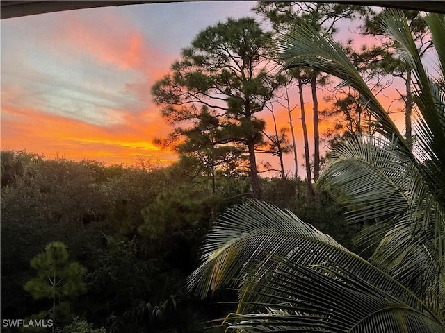 view of nature at dusk