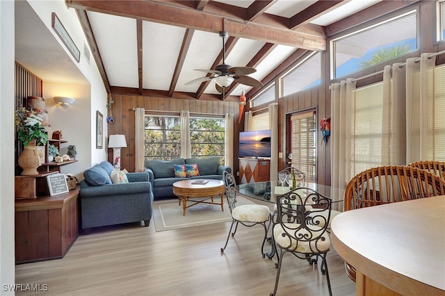 dining room with vaulted ceiling with beams, ceiling fan, light hardwood / wood-style floors, and wood walls