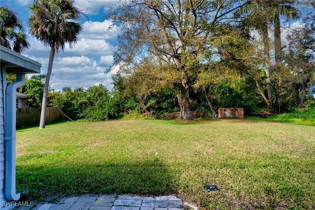 view of yard with a shed