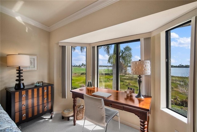 carpeted office with a water view and ornamental molding