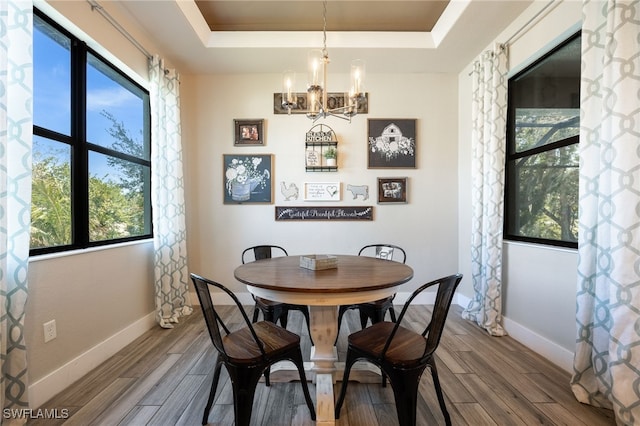 dining space featuring an inviting chandelier and a raised ceiling