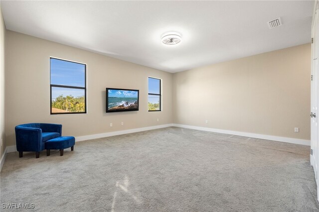 unfurnished room with carpet and a wealth of natural light