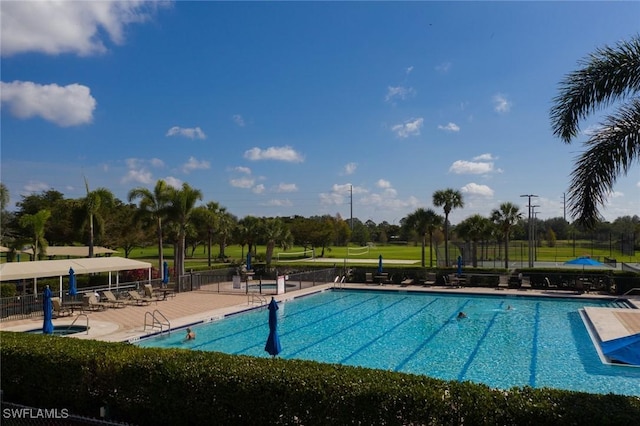 view of pool featuring a patio area