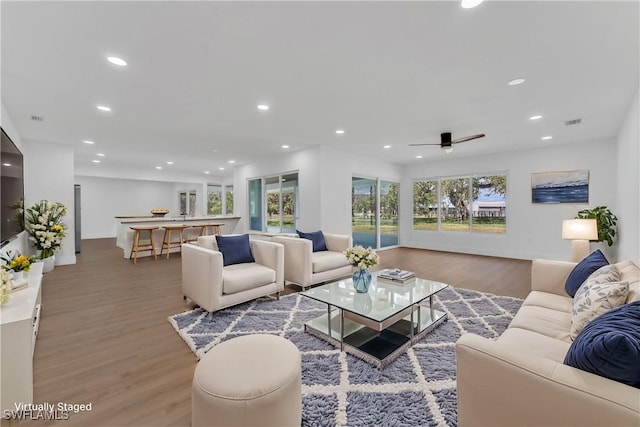 living room with wood-type flooring