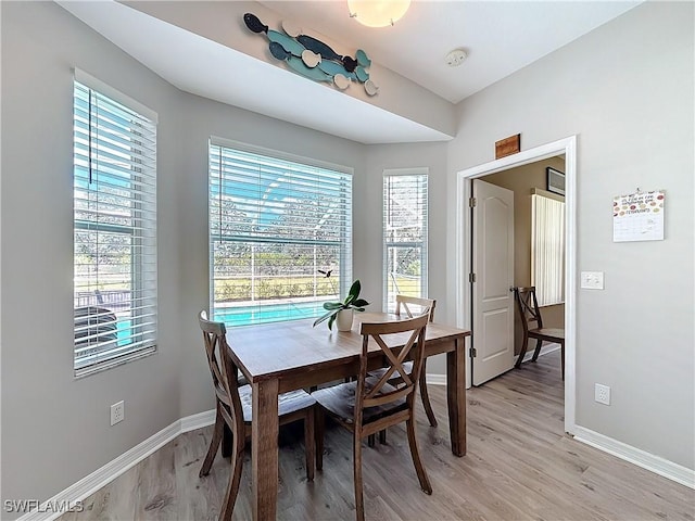 dining space featuring a wealth of natural light and light hardwood / wood-style flooring