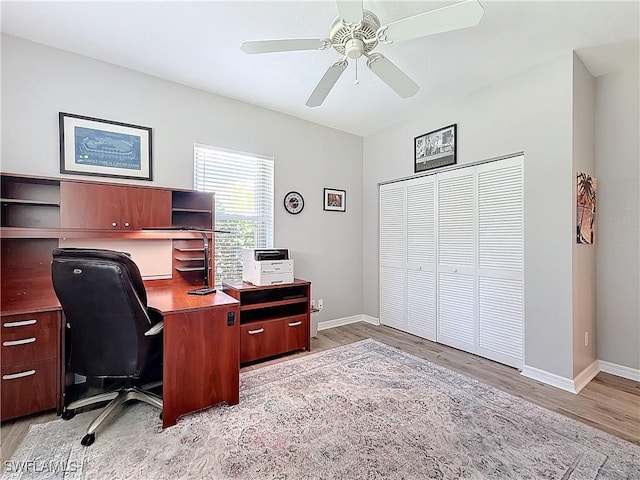 home office with ceiling fan and light wood-type flooring