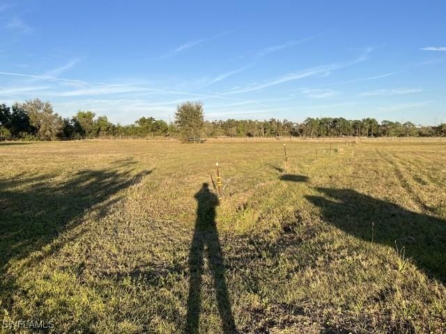 Deal Rd, North Fort Myers, FL 33917 - photo 13