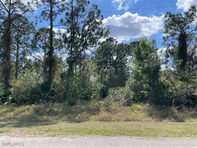 674 Chavers St E, Lehigh Acres FL, 33974 land for sale