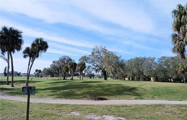 view of community with a lawn