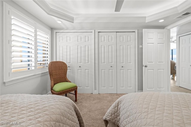 bedroom with light carpet, a tray ceiling, ornamental molding, and multiple closets