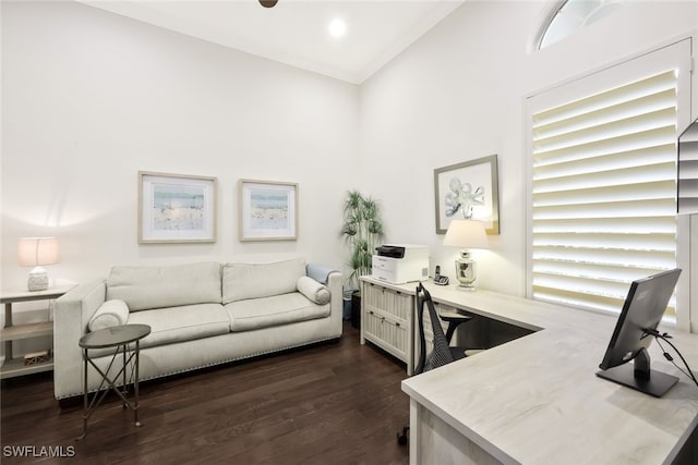 office area featuring crown molding and dark hardwood / wood-style floors