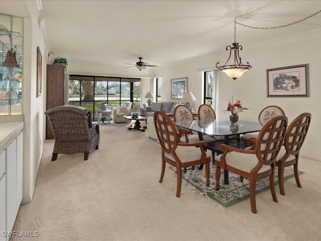 carpeted dining room featuring crown molding and ceiling fan